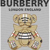 Brand Catalog-ZX 859